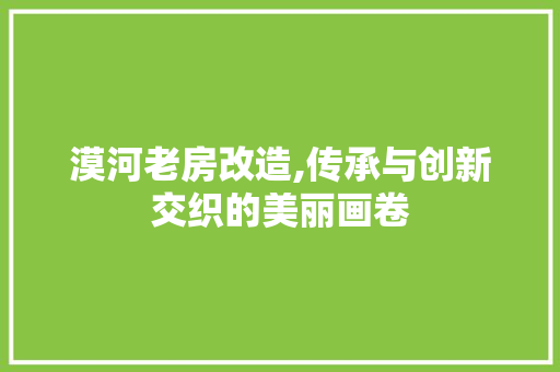 漠河老房改造,传承与创新交织的美丽画卷