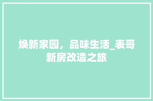 焕新家园，品味生活_表哥新房改造之旅