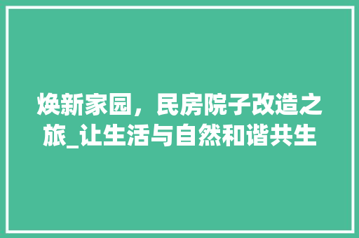 焕新家园，民房院子改造之旅_让生活与自然和谐共生
