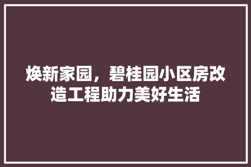 焕新家园，碧桂园小区房改造工程助力美好生活 装修材料