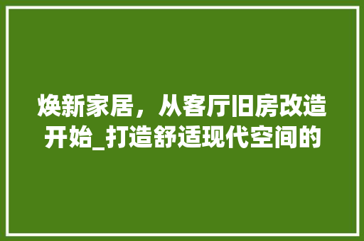 焕新家居，从客厅旧房改造开始_打造舒适现代空间的艺术