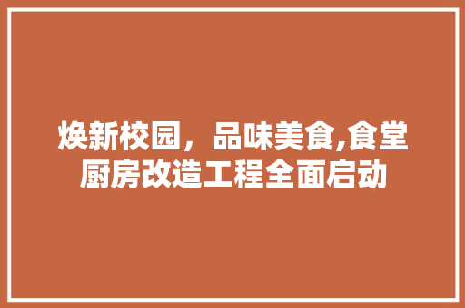 焕新校园，品味美食,食堂厨房改造工程全面启动