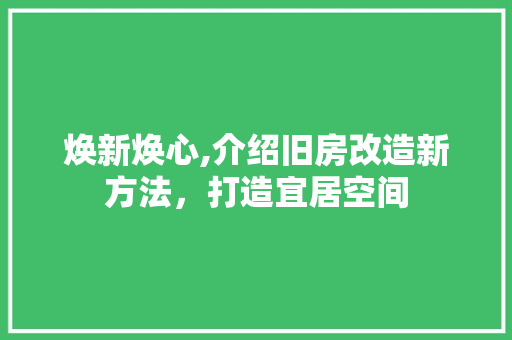 焕新焕心,介绍旧房改造新方法，打造宜居空间 墙面装饰
