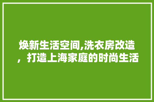 焕新生活空间,洗衣房改造，打造上海家庭的时尚生活新地标 庭院装修