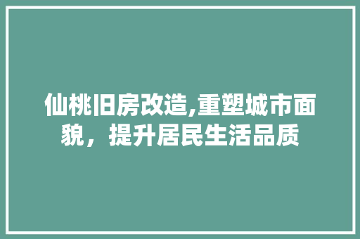 仙桃旧房改造,重塑城市面貌，提升居民生活品质