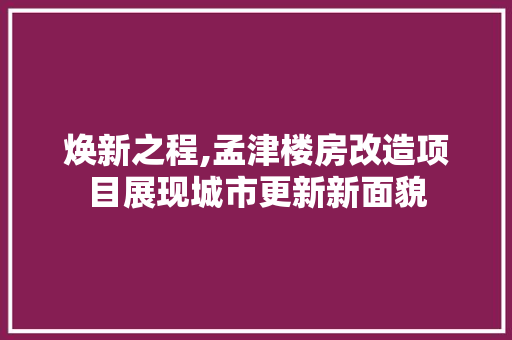 焕新之程,孟津楼房改造项目展现城市更新新面貌