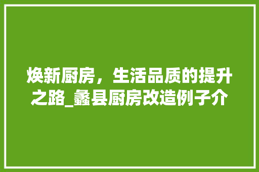 焕新厨房，生活品质的提升之路_蠡县厨房改造例子介绍