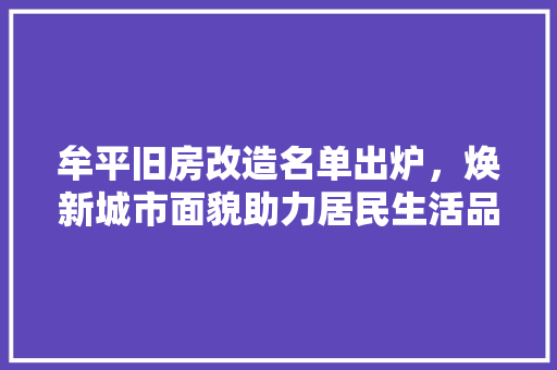 牟平旧房改造名单出炉，焕新城市面貌助力居民生活品质提升
