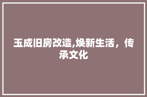 玉成旧房改造,焕新生活，传承文化