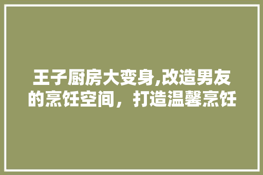 王子厨房大变身,改造男友的烹饪空间，打造温馨烹饪乐园
