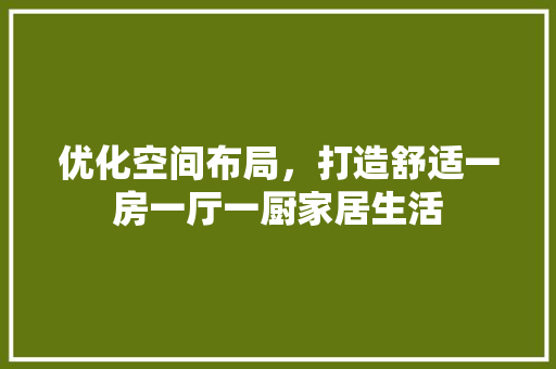 优化空间布局，打造舒适一房一厅一厨家居生活 景观设计