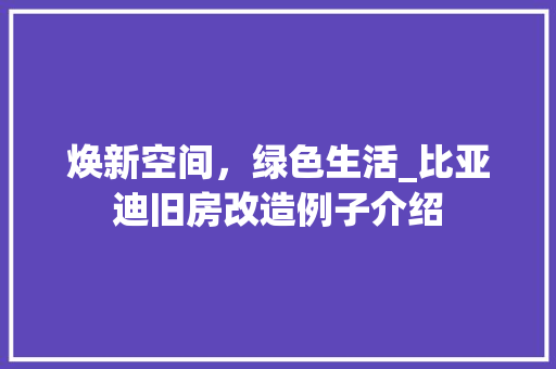 焕新空间，绿色生活_比亚迪旧房改造例子介绍