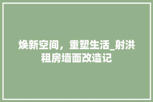 焕新空间，重塑生活_射洪租房墙面改造记