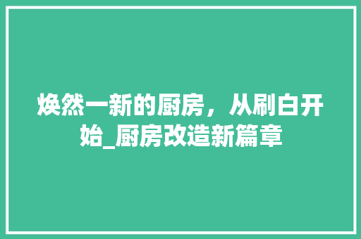 焕然一新的厨房，从刷白开始_厨房改造新篇章