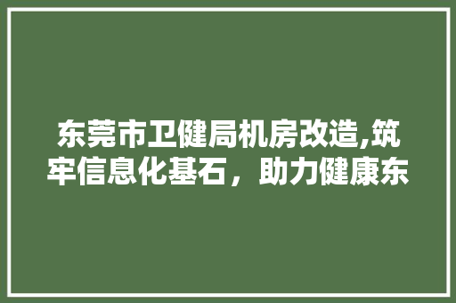 东莞市卫健局机房改造,筑牢信息化基石，助力健康东莞建设