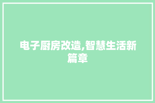 电子厨房改造,智慧生活新篇章 建筑设计