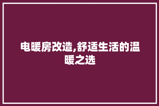 电暖房改造,舒适生活的温暖之选 装修材料