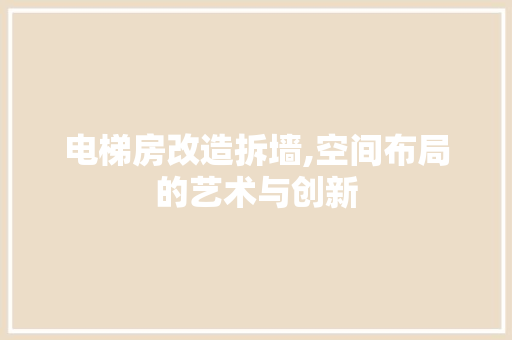 电梯房改造拆墙,空间布局的艺术与创新