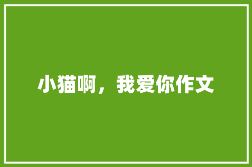 电竞房改造攻略,低成本打造专业电竞空间 门窗装修