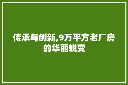 传承与创新,9万平方老厂房的华丽蜕变 装修材料