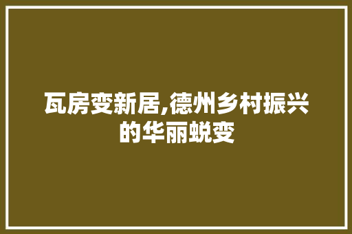瓦房变新居,德州乡村振兴的华丽蜕变