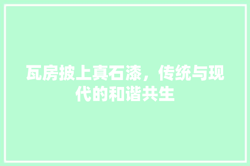 瓦房披上真石漆，传统与现代的和谐共生 隔断设计