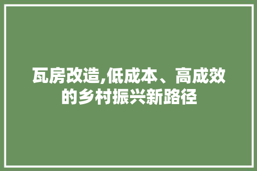 瓦房改造,低成本、高成效的乡村振兴新路径 建筑设计