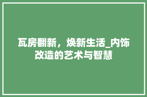 瓦房翻新，焕新生活_内饰改造的艺术与智慧