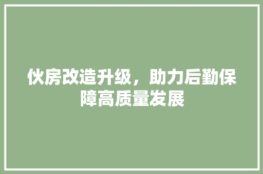 伙房改造升级，助力后勤保障高质量发展