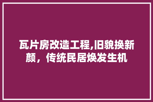 瓦片房改造工程,旧貌换新颜，传统民居焕发生机