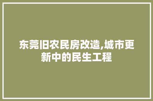 东莞旧农民房改造,城市更新中的民生工程