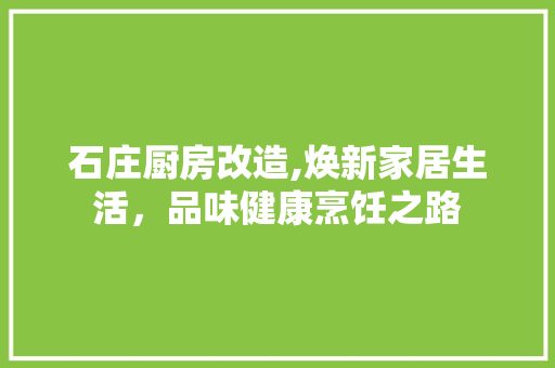 石庄厨房改造,焕新家居生活，品味健康烹饪之路