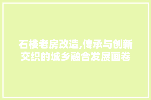 石楼老房改造,传承与创新交织的城乡融合发展画卷