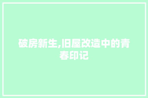 破房新生,旧屋改造中的青春印记