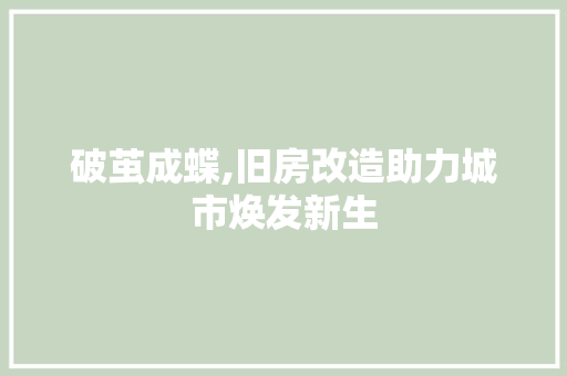 破茧成蝶,旧房改造助力城市焕发新生