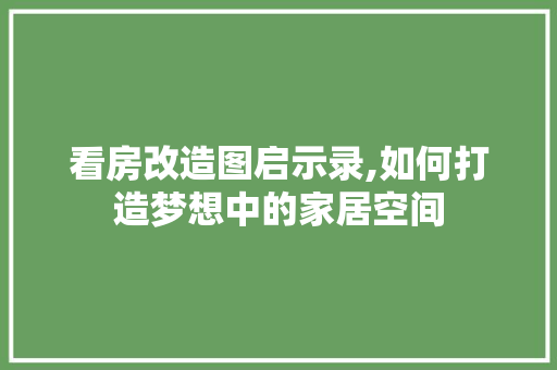 看房改造图启示录,如何打造梦想中的家居空间