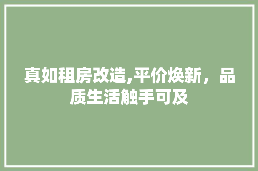 真如租房改造,平价焕新，品质生活触手可及