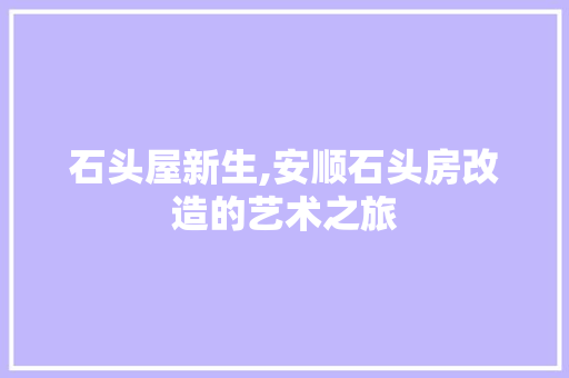 石头屋新生,安顺石头房改造的艺术之旅