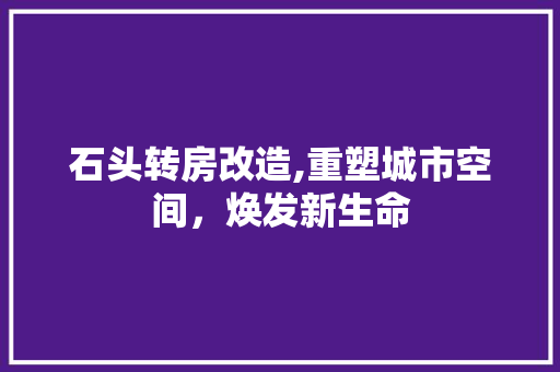 石头转房改造,重塑城市空间,焕发新生命