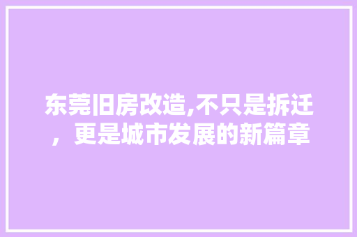 东莞旧房改造,不只是拆迁，更是城市发展的新篇章