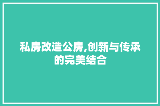 私房改造公房,创新与传承的完美结合