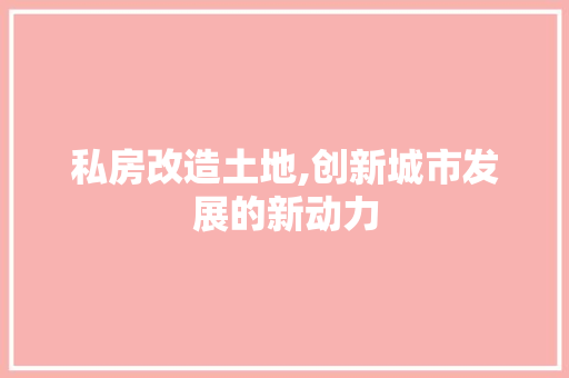 私房改造土地,创新城市发展的新动力