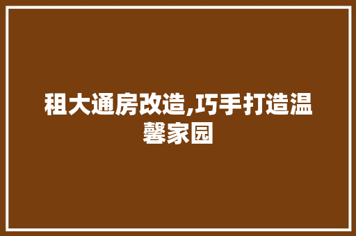 租大通房改造,巧手打造温馨家园 装修攻略