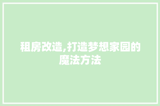 租房改造,打造梦想家园的魔法方法 装修材料