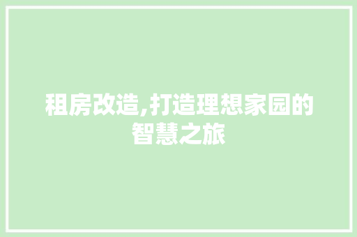 租房改造,打造理想家园的智慧之旅
