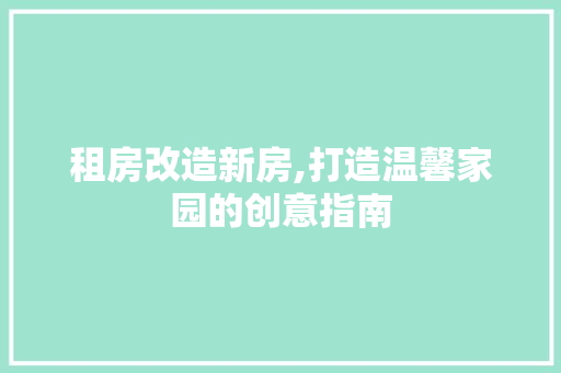 租房改造新房,打造温馨家园的创意指南