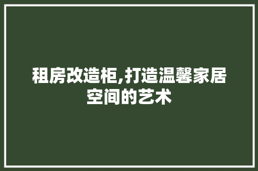 租房改造柜,打造温馨家居空间的艺术