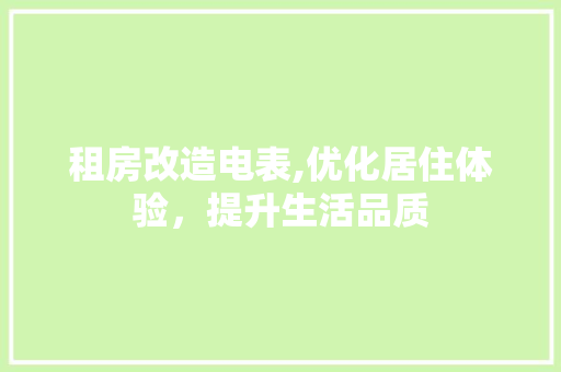 租房改造电表,优化居住体验，提升生活品质 墙面装饰
