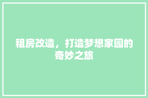 租房改造，打造梦想家园的奇妙之旅