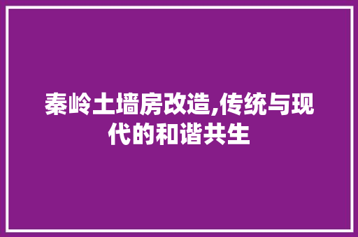 秦岭土墙房改造,传统与现代的和谐共生